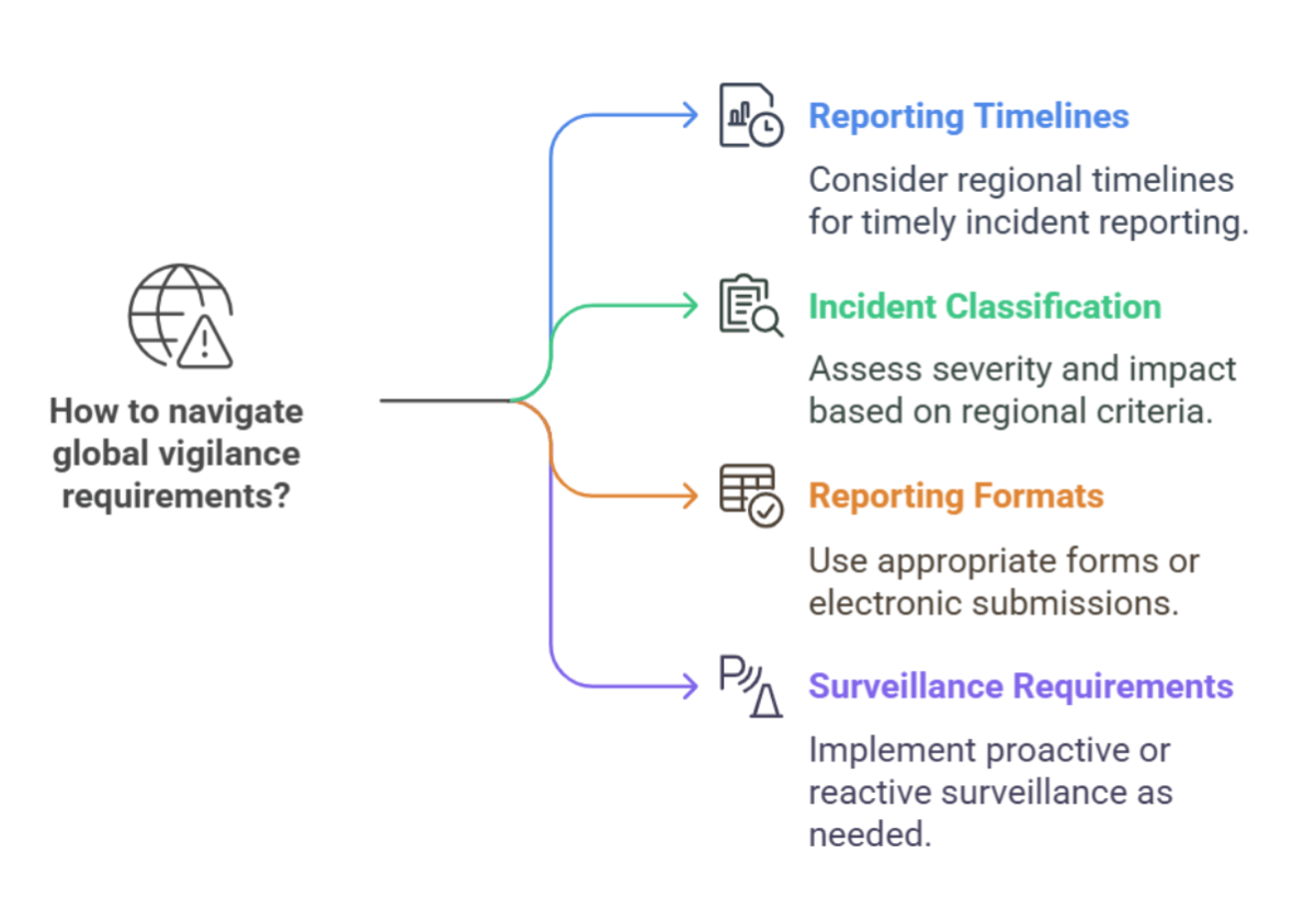 A diagram illustrating pathways through the global vigilance requirements.